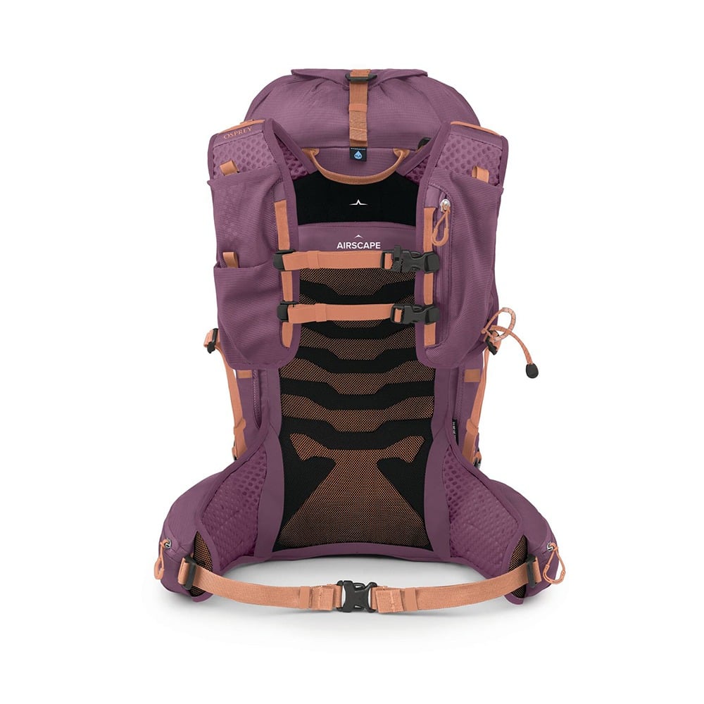 Osprey Tempest Velocity 30 Hiking Backpack 30L in Pashmina Melon — back view