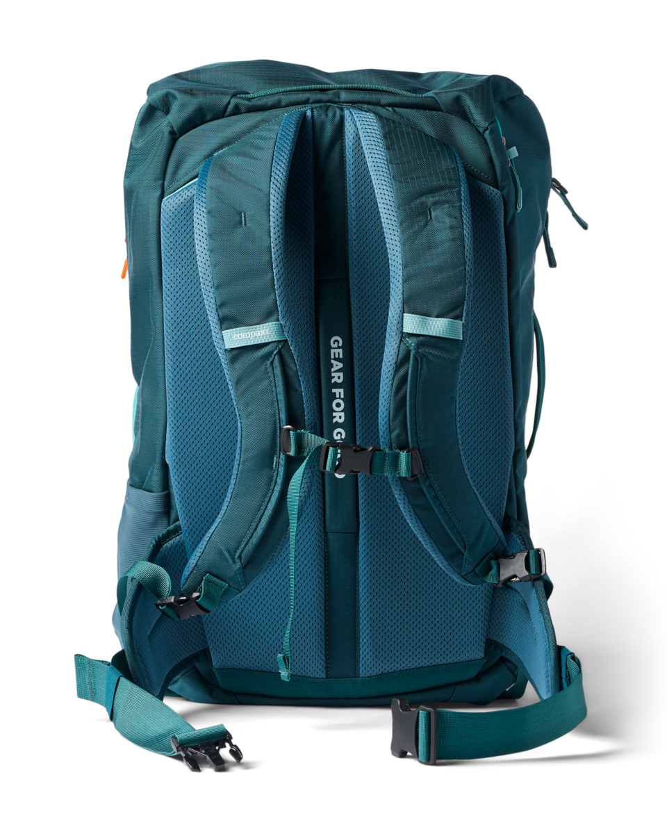 Cotopaxi Allpa 42L Travel Pack in Blue Spruce/Abyss — back view