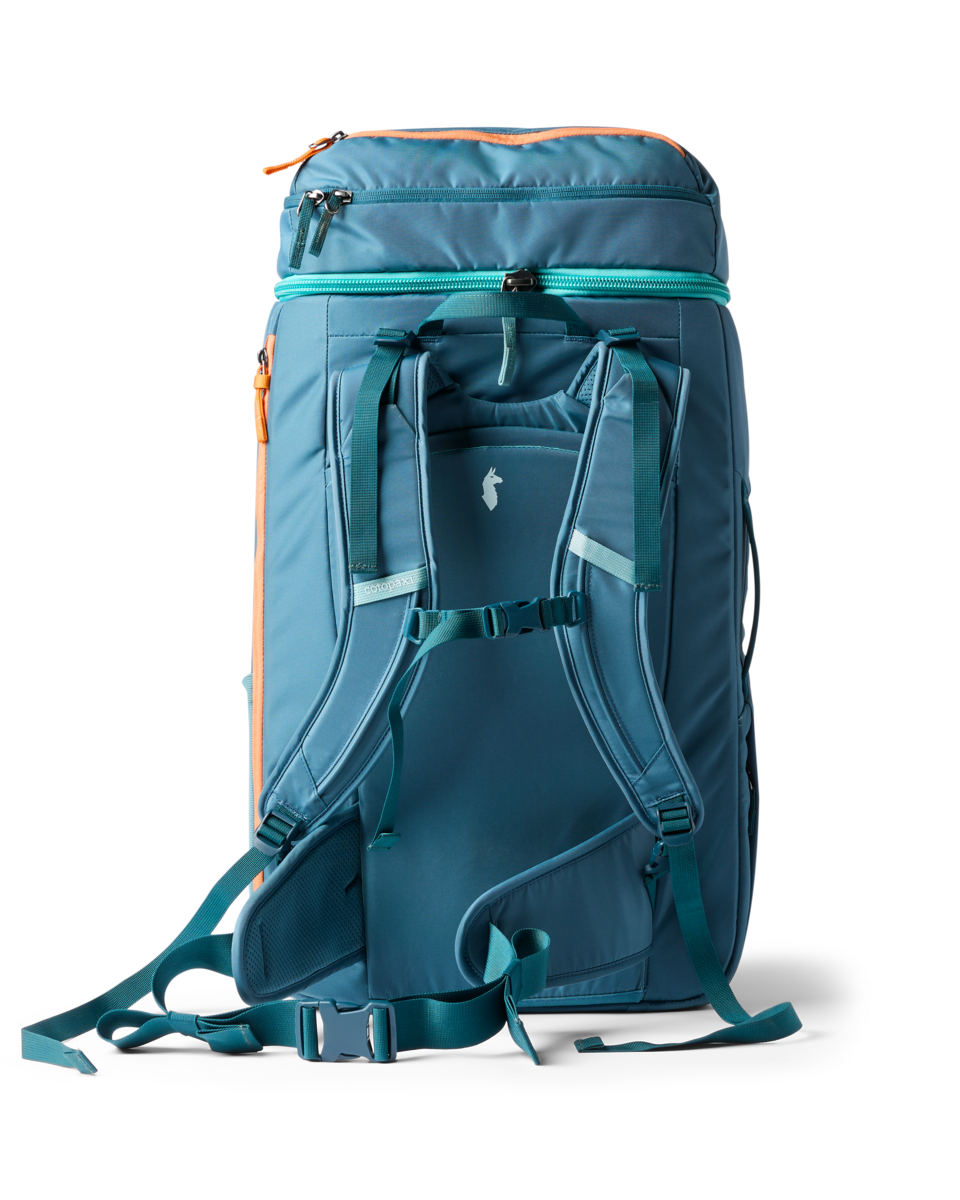 Cotopaxi Allpa 50L Adventure Travel Pack in Blue Spruce/Abyss — back view