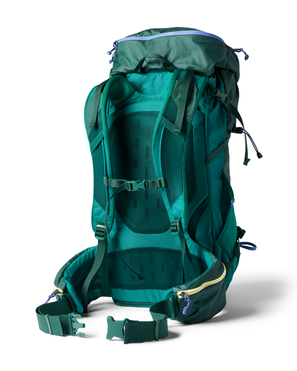 Cotopaxi Arenal 32L Backpack in Kale — back view