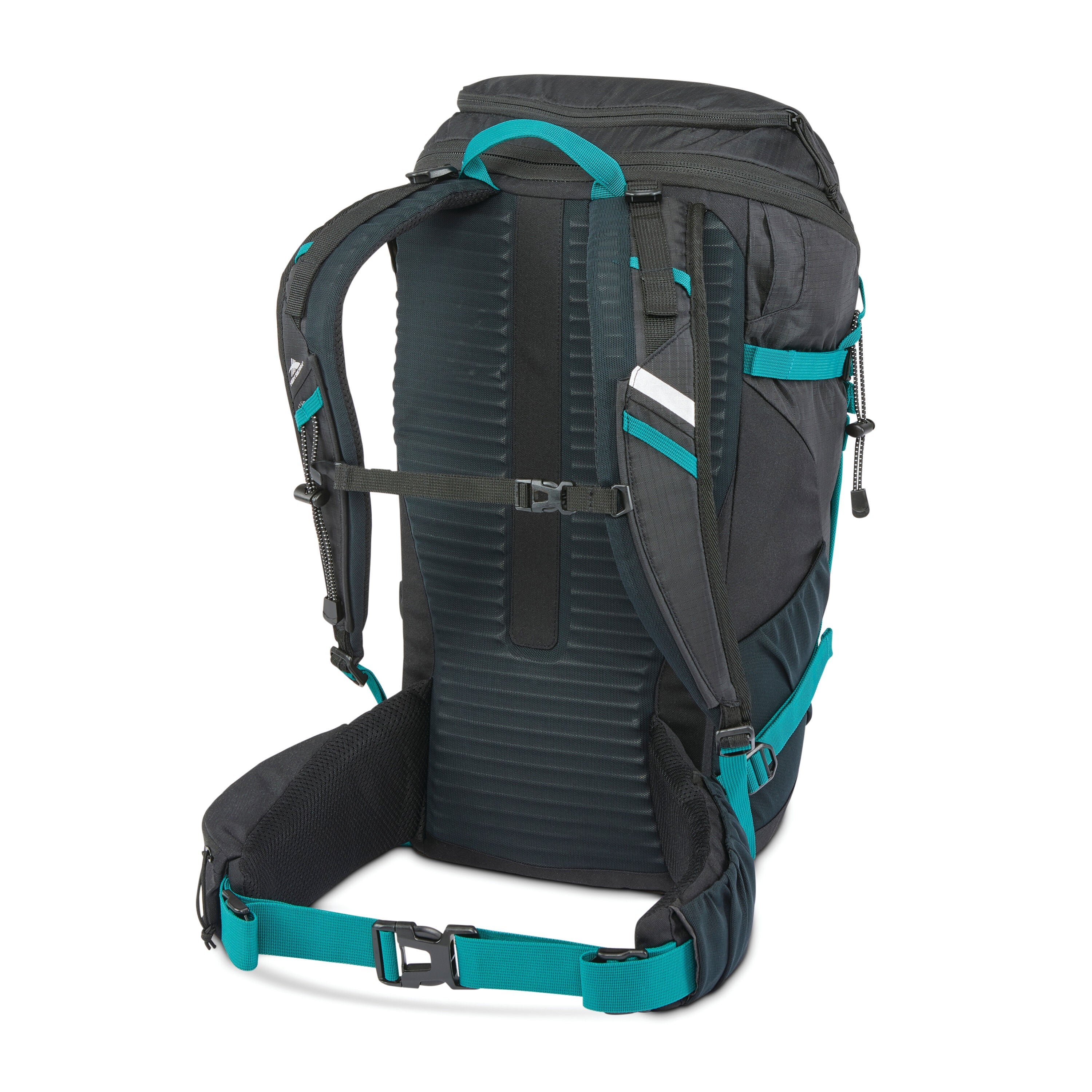High Sierra Pathway 2.0 45L Backpack in Black — back view