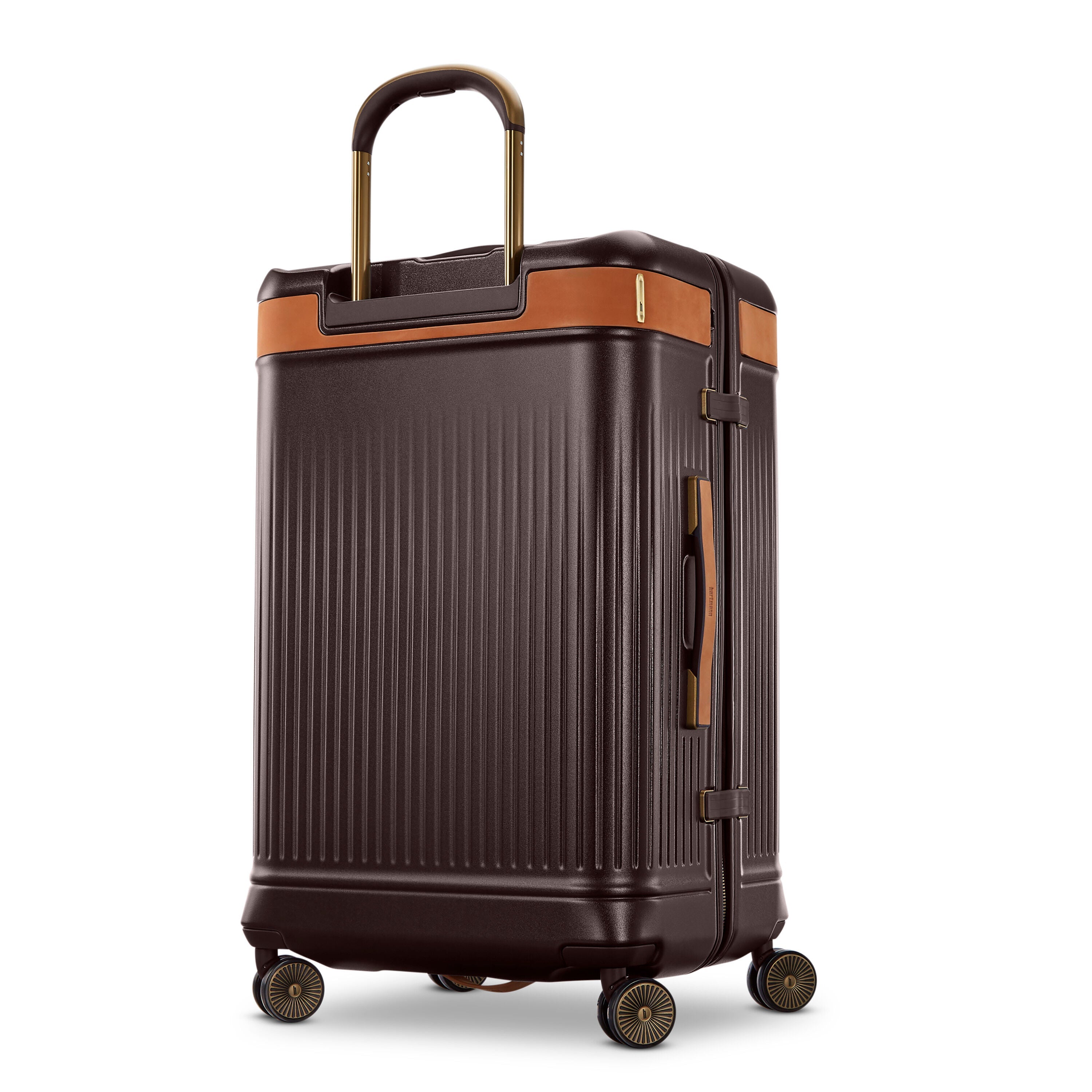 Hartmann Reserve Medium Trunk Spinner in Oak — back view
