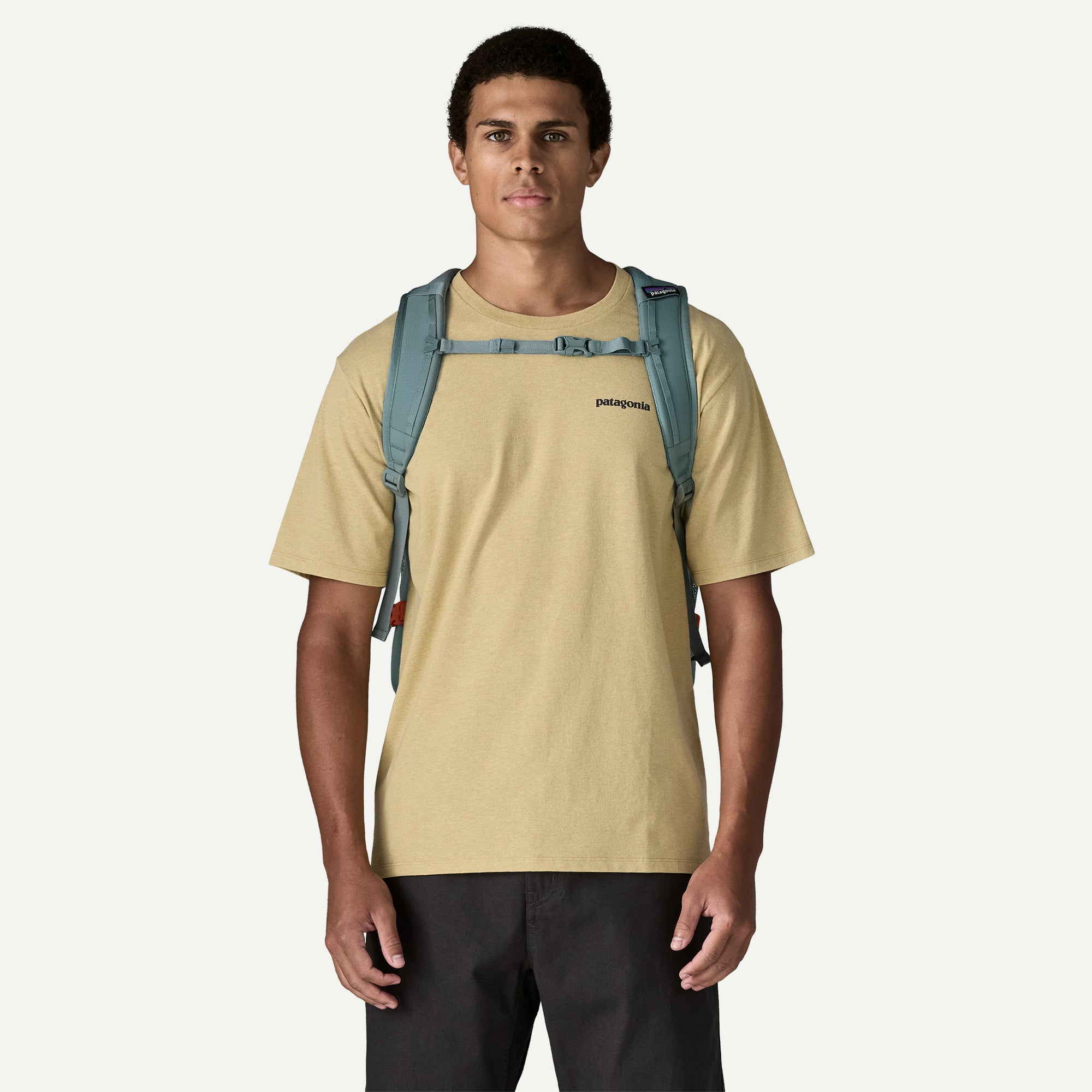 Patagonia Refugio Daypack 30L in Blue Sage — angle view 2