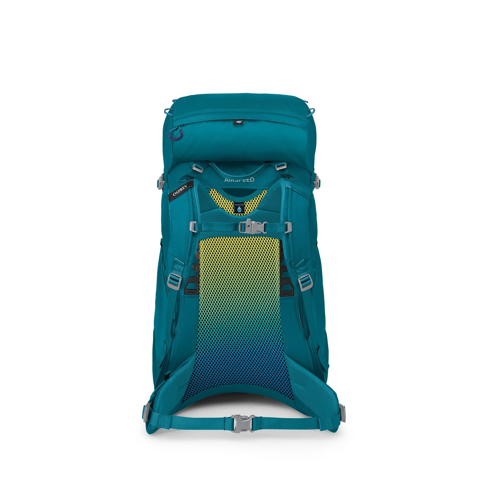 Osprey Ace 38 Kids Hiking Backpack 38L in Blue Spikemoss/Deep Peyto — back view