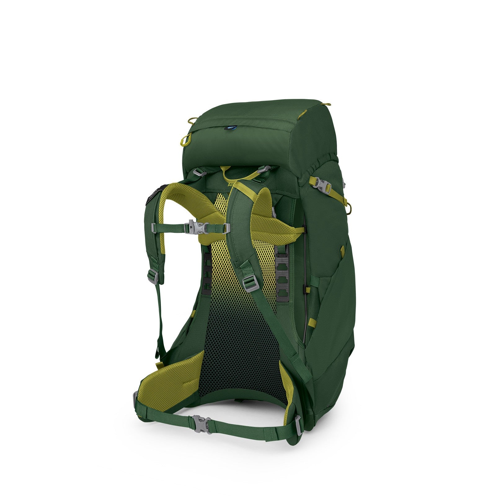 Osprey Ace 38 Kids Hiking Backpack 38L in Green Canopy/Matcha Green — angle view 3