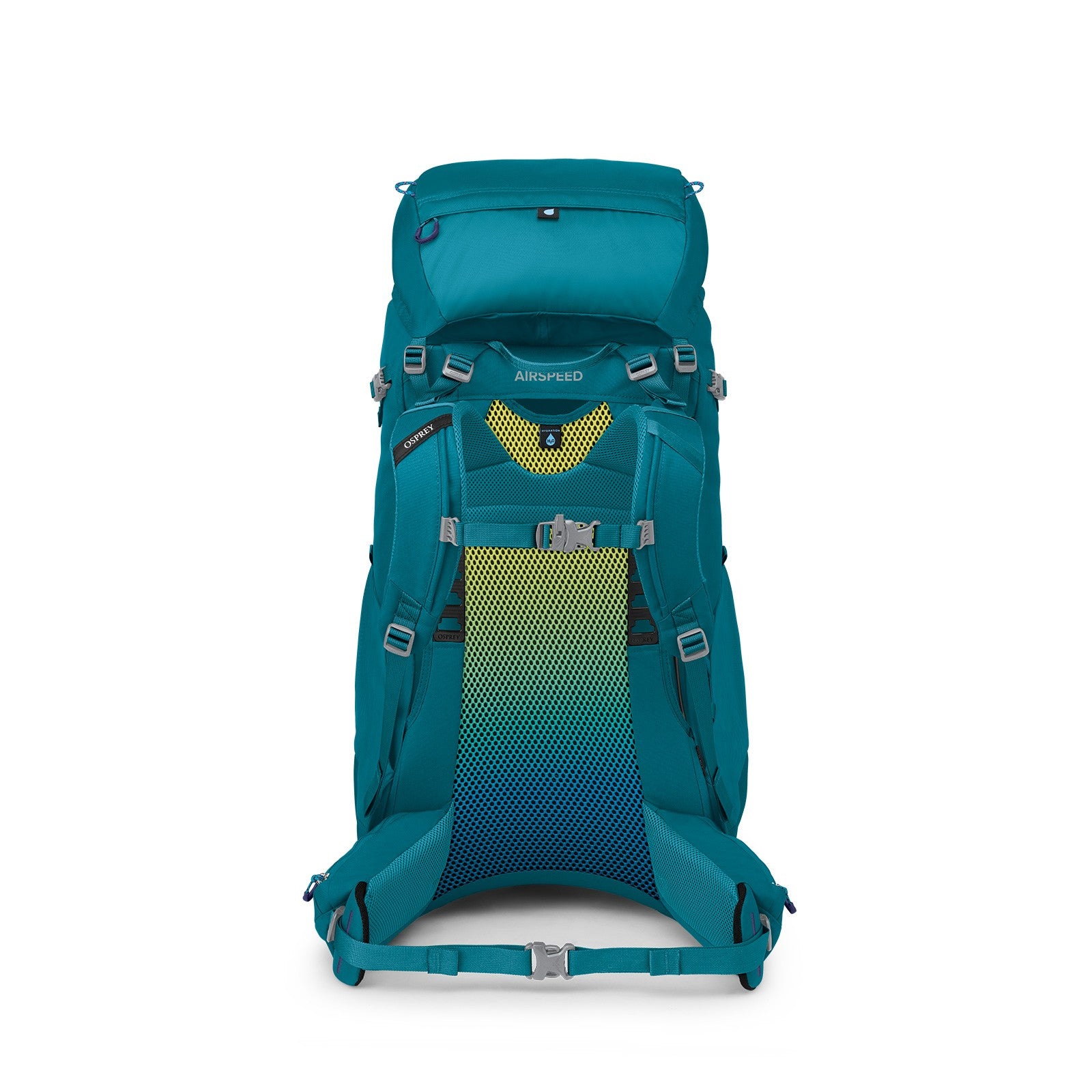 Osprey Ace 50 Kids Hiking Backpack 50L in Blue Spikemoss/Deep Peyto — back view