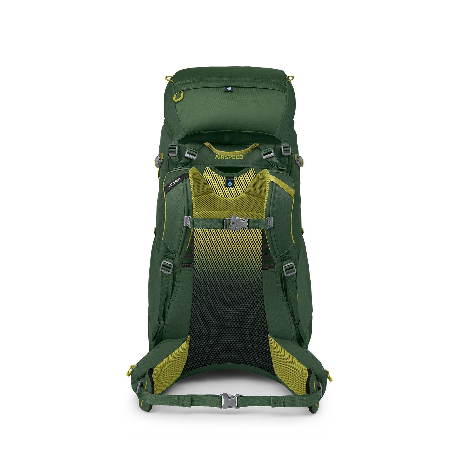 Osprey Ace 50 Kids Hiking Backpack 50L in Green Canopy/Matcha Green — back view