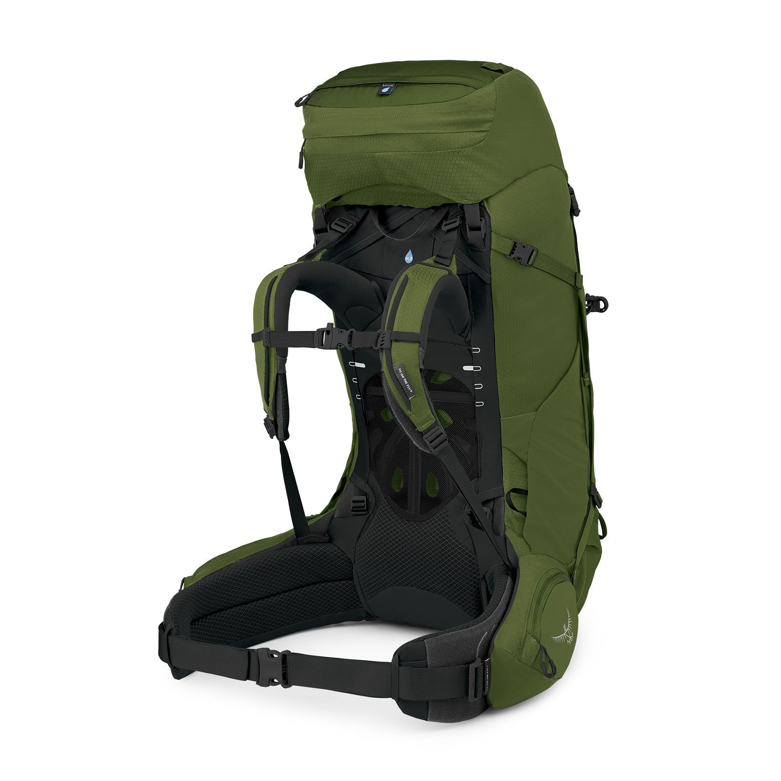 Osprey Aether 65 Extended Fit Hiking Backpack 65L in Garlic Mustard Green — angle view 3