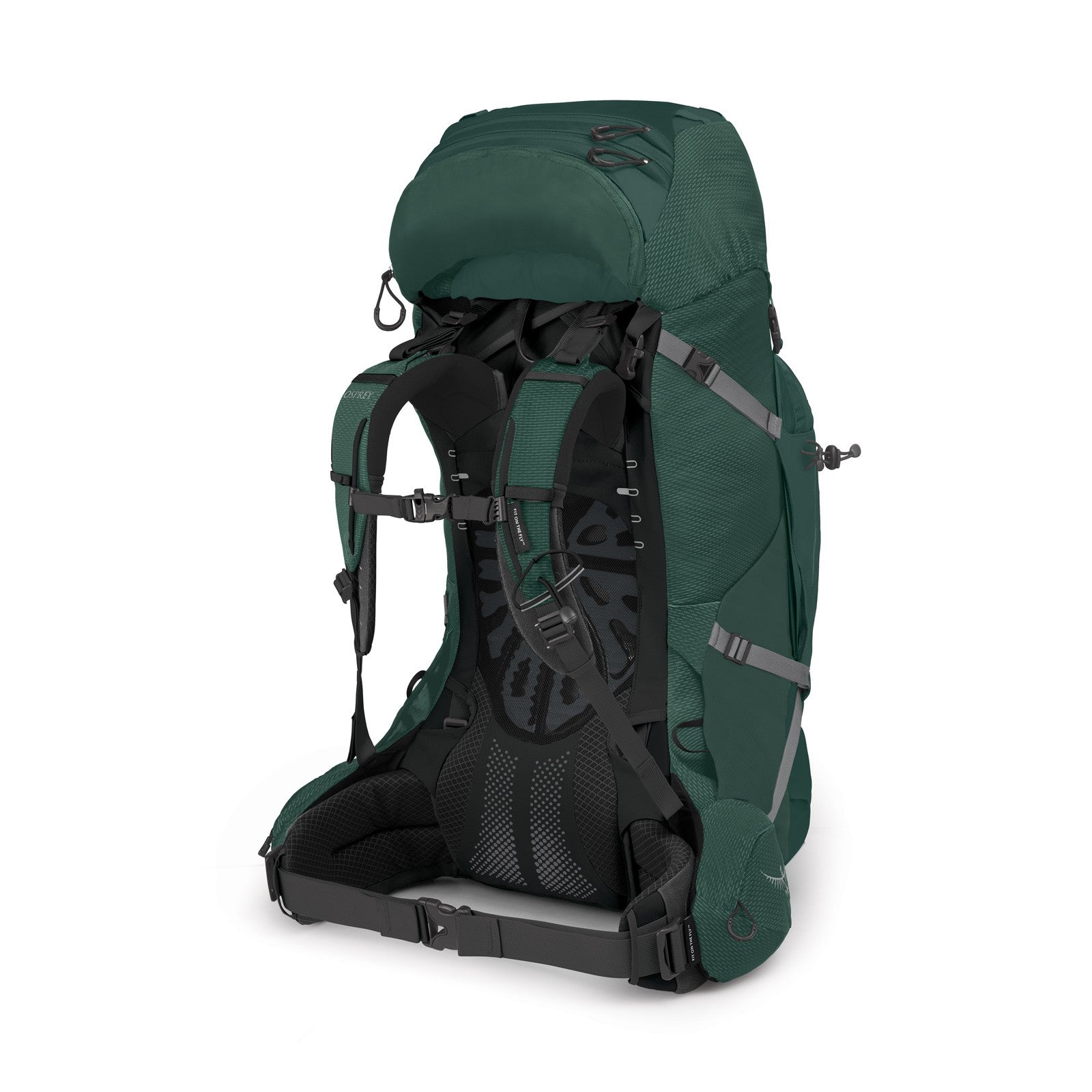Osprey Aether Plus 70 Hiking Backpack 70L in Axo Green — angle view 2