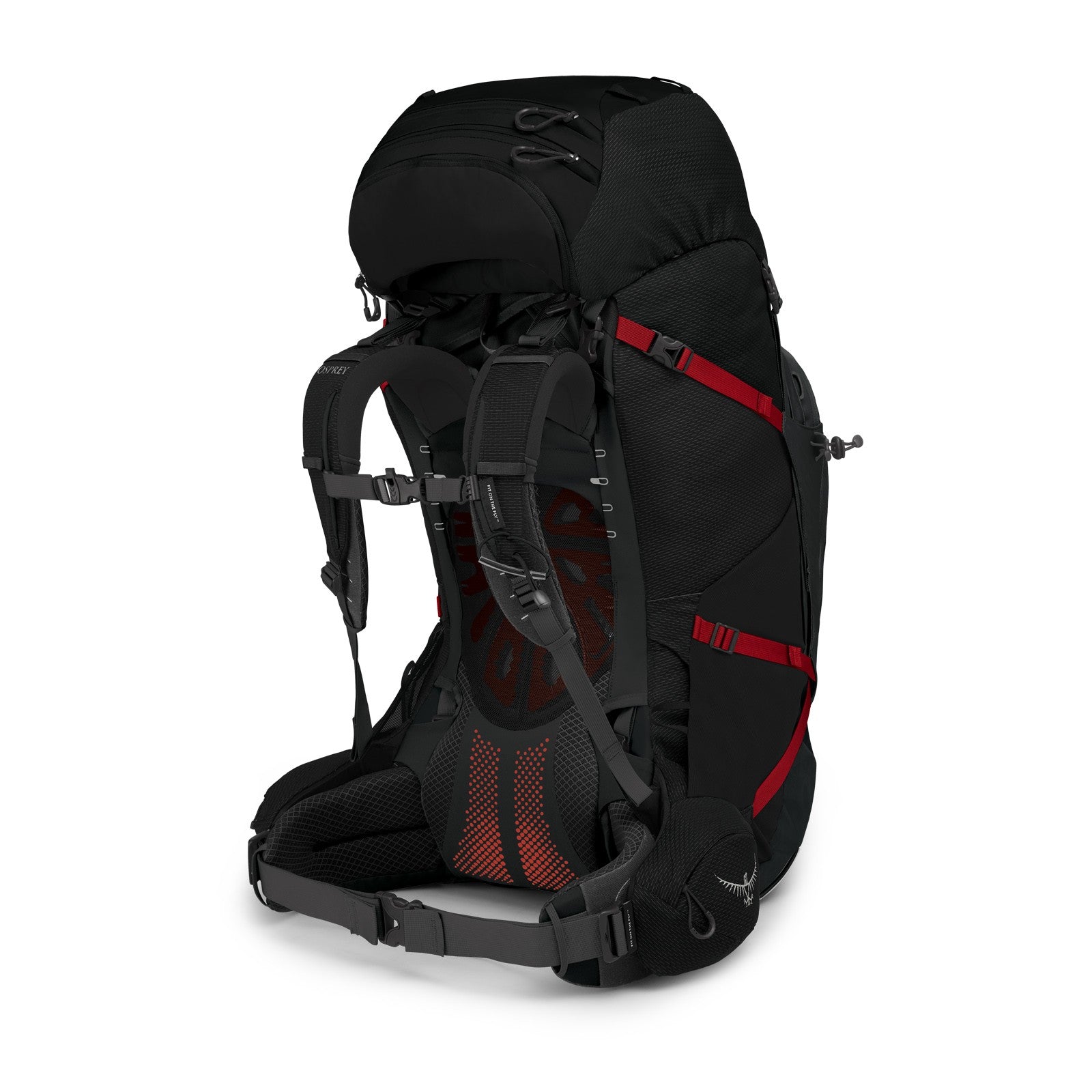 Osprey Aether Plus 85 Hiking Backpack 85L in Black — back view