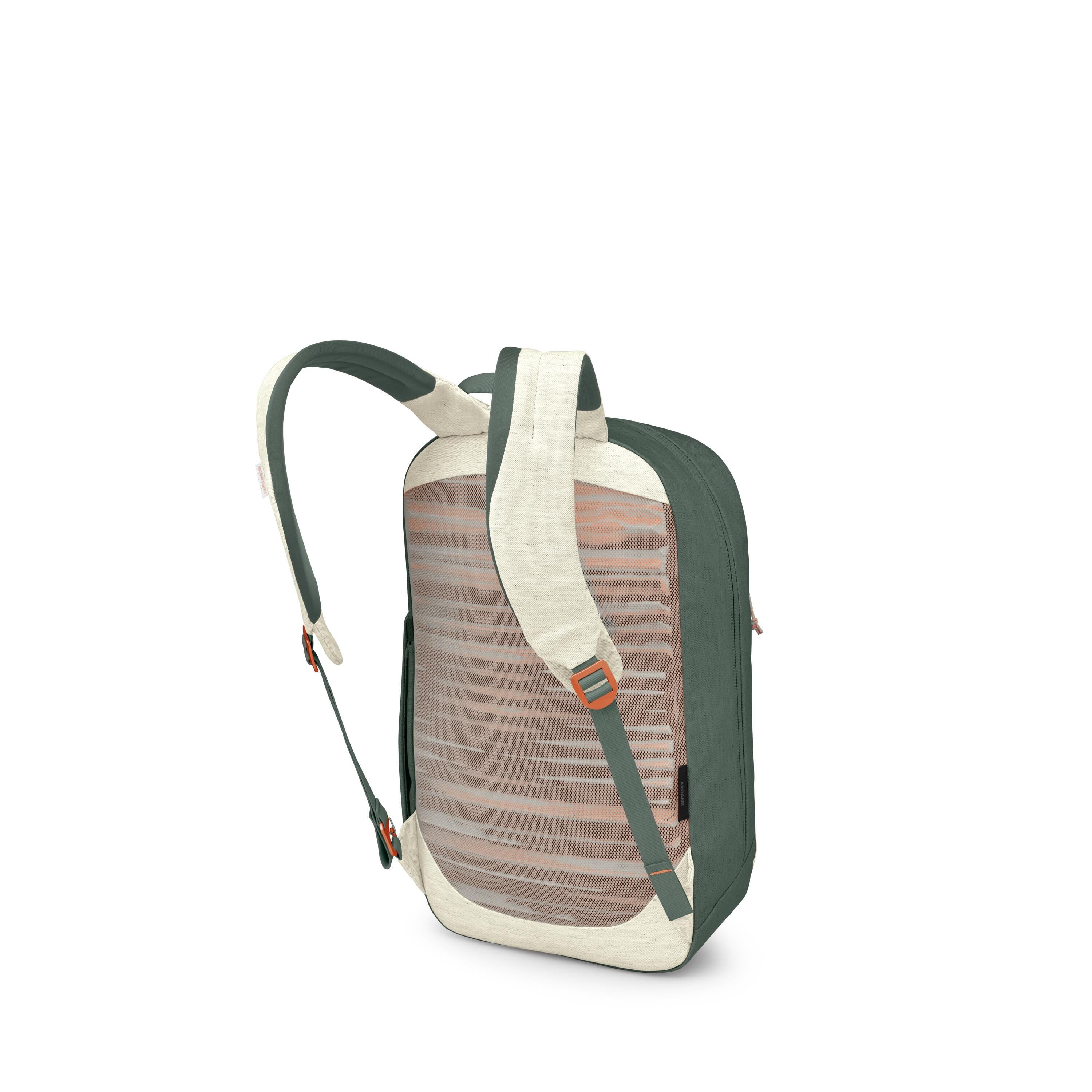 Osprey Arcane Earth Large Day Backpack 22L in Moon Beige/Pine Leaf — back view