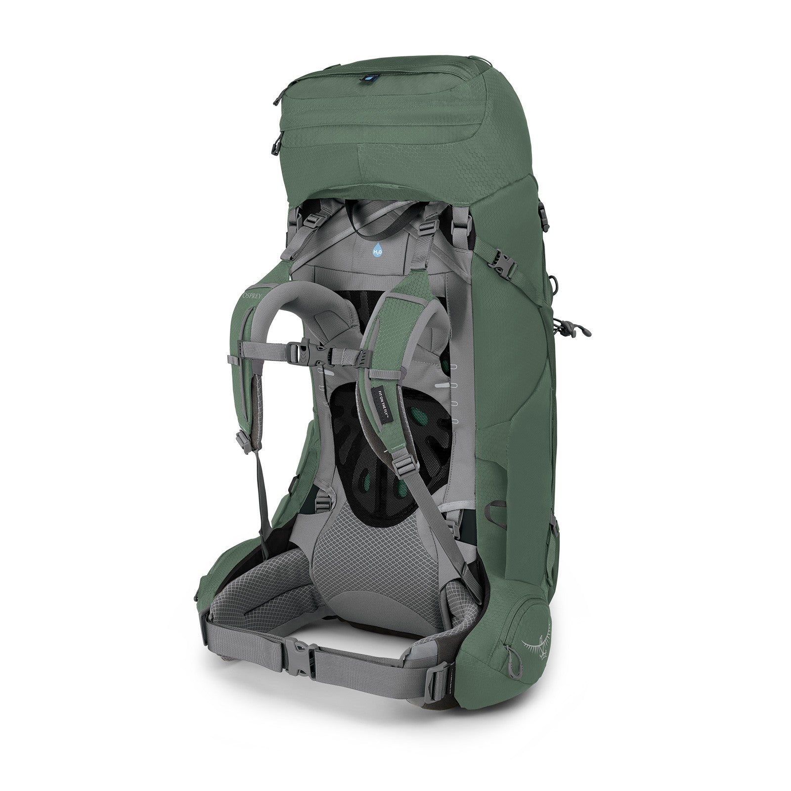 Osprey Ariel 55 Women's Hiking Backpack 55L in Koseret Green — back view