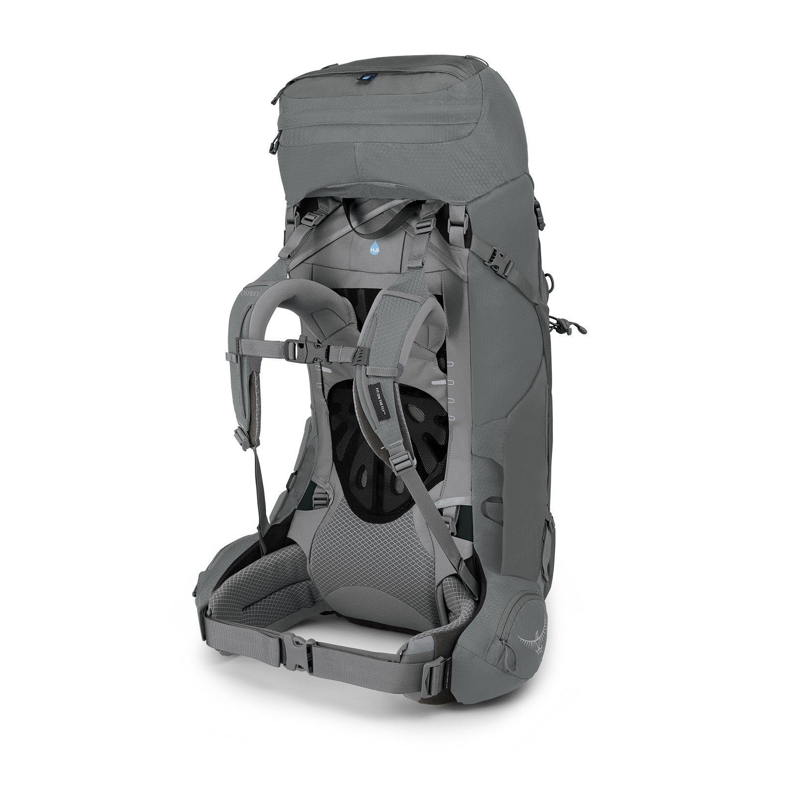 Osprey Ariel 55 Women's Hiking Backpack 55L in Medium Gray — back view