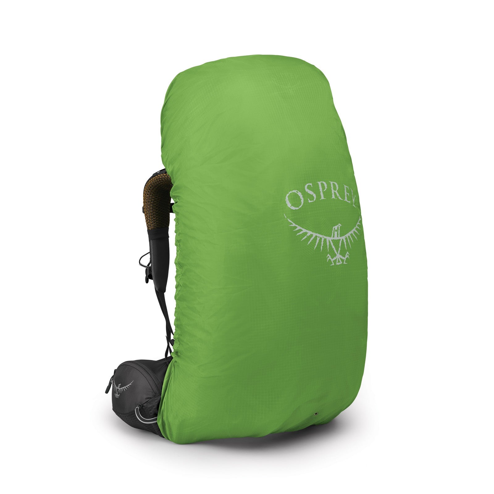 Osprey Atmos AG 65 Backpacking Pack 65L in Black — angle view 2