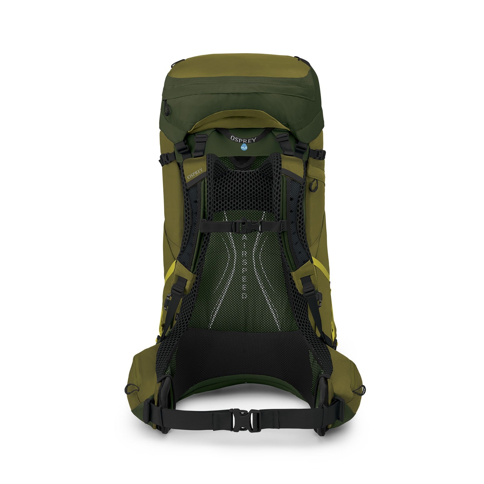 Osprey Atmos AG LT 65 Backpacking Pack 65L in Scenic Valley/Green Peppercorn — back view 2