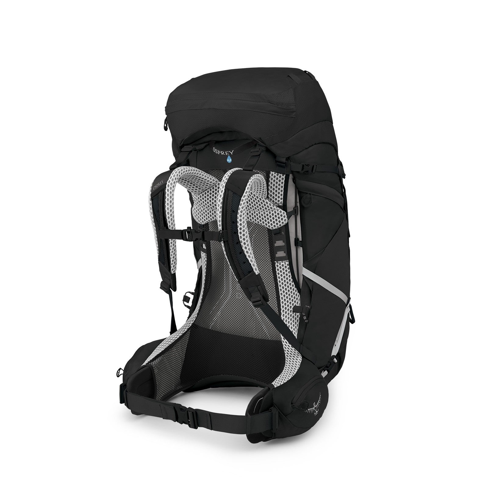 Osprey Atmos AG LT 65 Backpacking Pack 65L in Black — back view