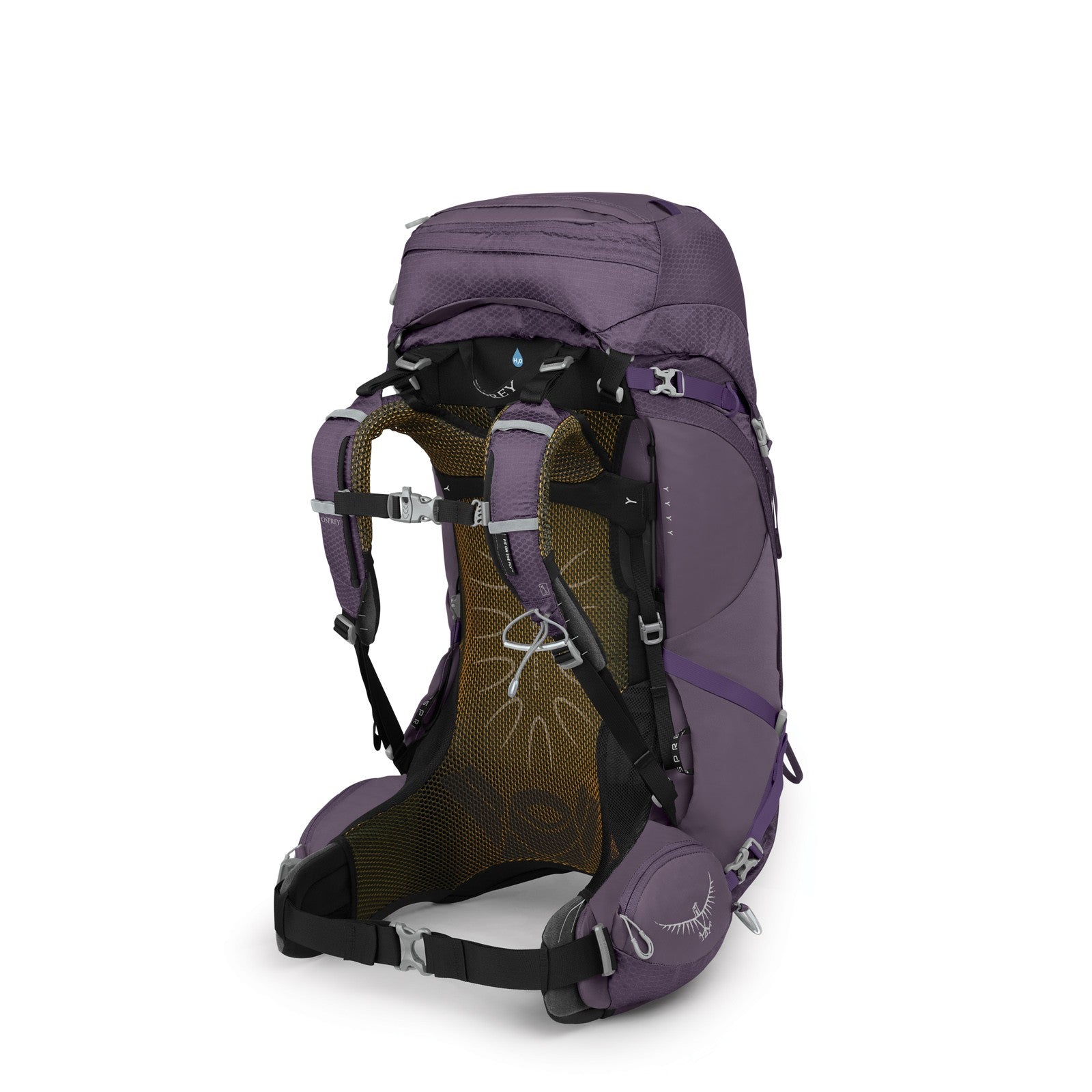 Osprey Aura AG 50 Backpacking Pack 50L in Enchantment Purple — back view