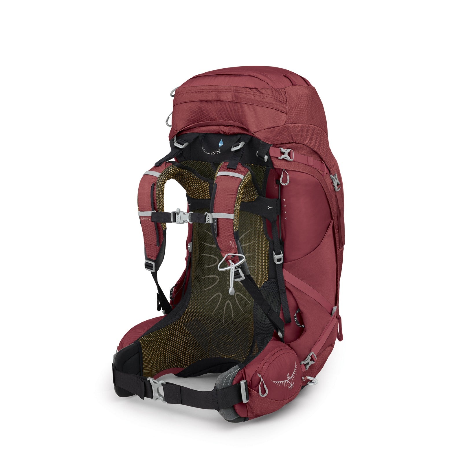 Osprey Aura AG 65 Backpacking Pack 65L in Berry Sorbet Red — back view