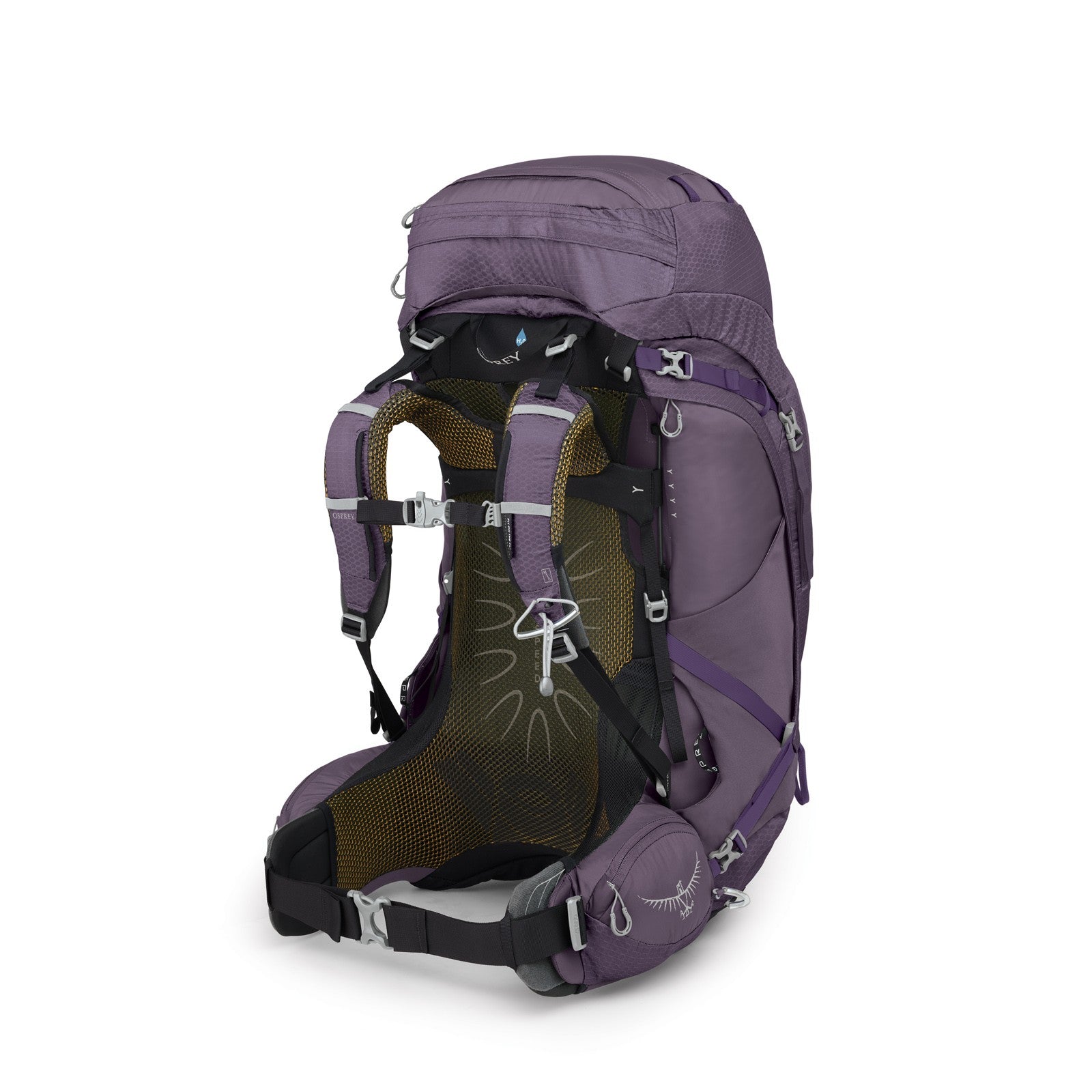 Osprey Aura AG 65 Backpacking Pack 65L in Enchantment Purple — back view