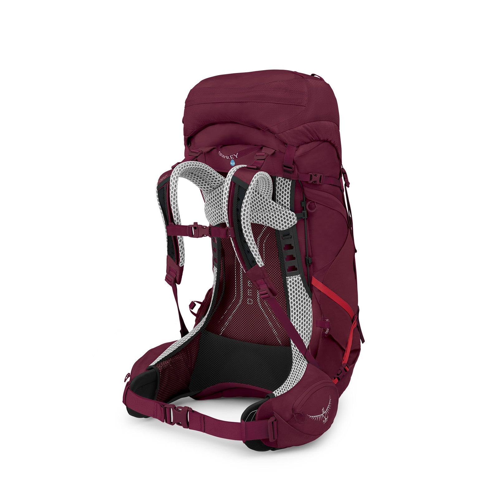 Osprey Aura AG LT 50 Backpacking Pack 50L in Antidote Purple — back view