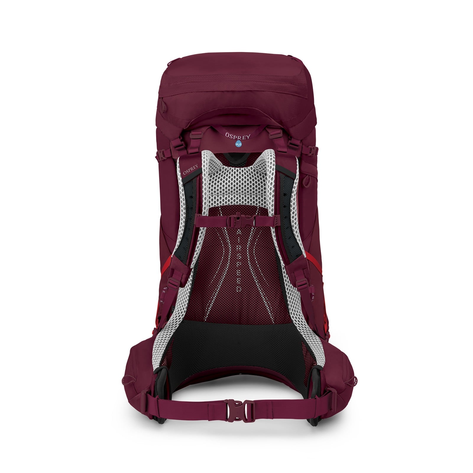 Osprey Aura AG LT 65 Backpacking Pack 65L in Antidote Purple — back view