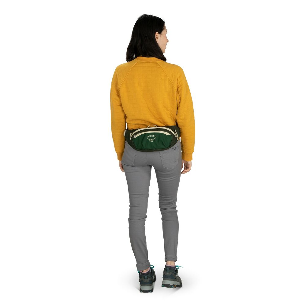 Osprey Daylite Waist Pack 2L, view 11