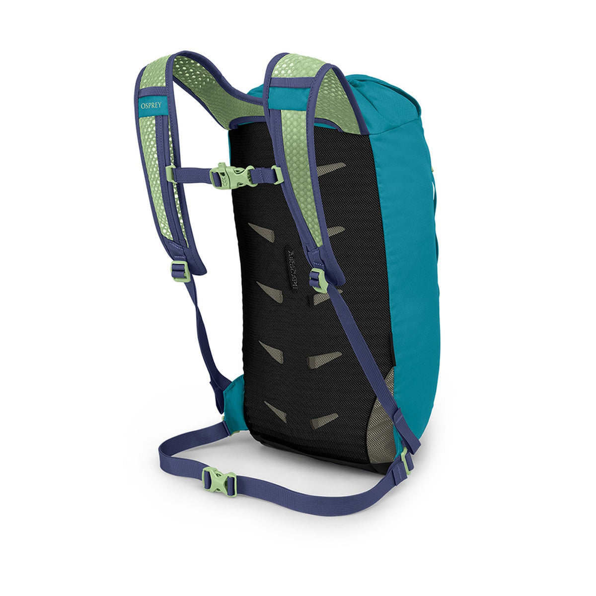 Osprey Daylite Cinch 15L in Blue Spikemoss/Alkaline — back view