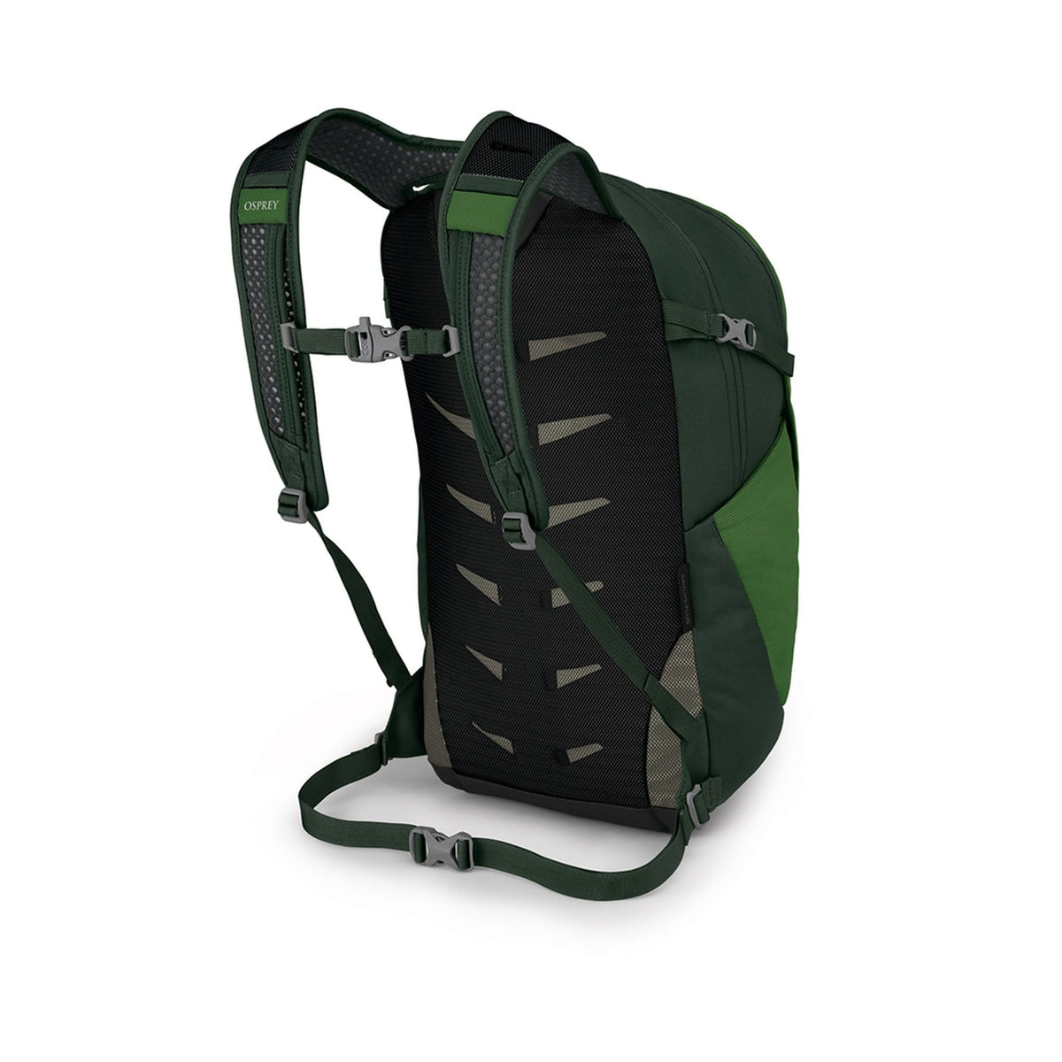 Osprey Daylite Plus Backpack 20L in Green Belt/Green Canopy — back view