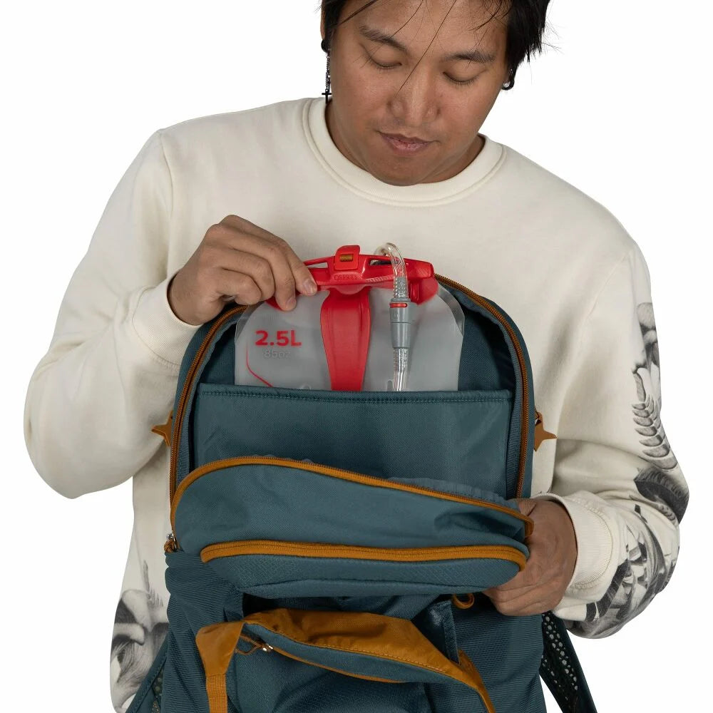 Osprey Daylite Plus Backpack 20L, view 18