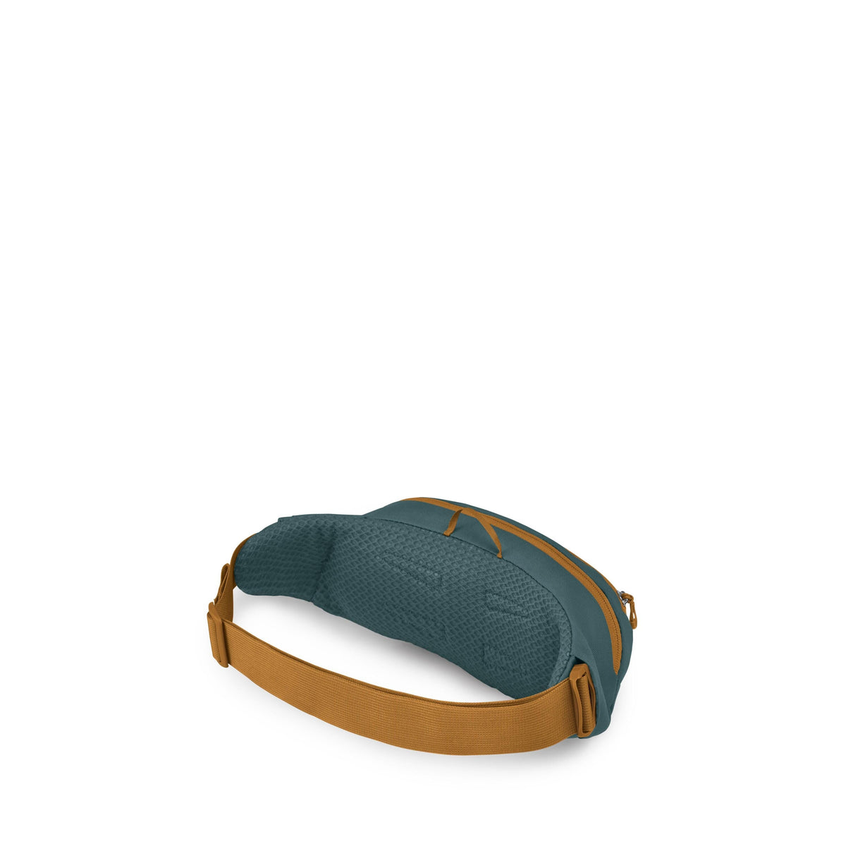 Osprey Daylite Waist Pack 2L in Torrent Blue — back view