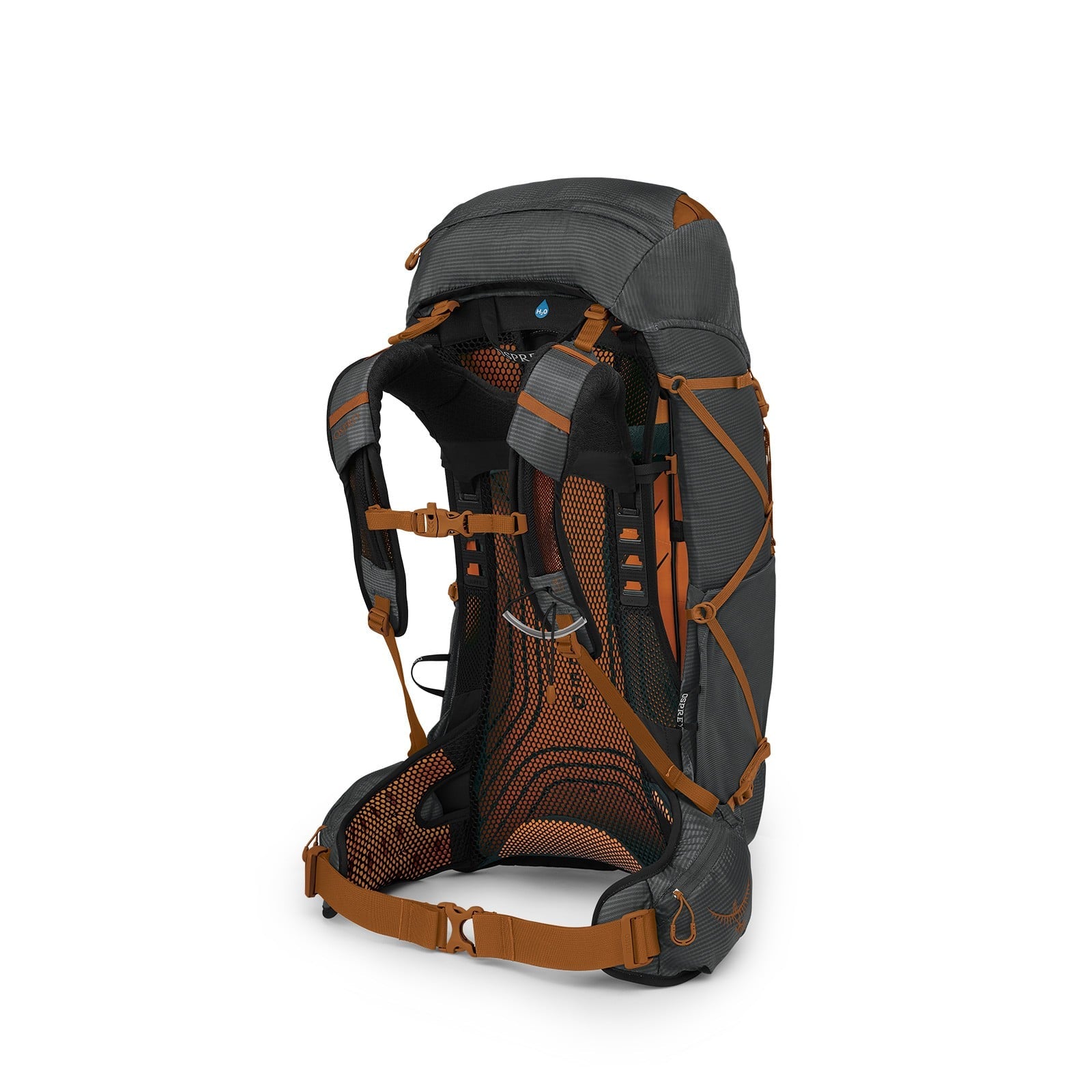 Osprey Exos 38 Backpacking Pack 38L in Dark Charcoal Grey — back view