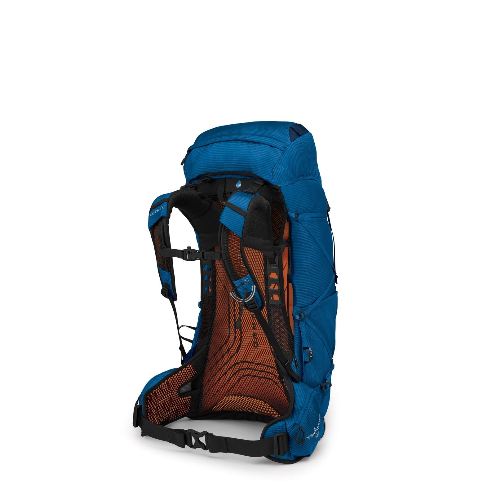 Osprey Exos 48 Backpacking Pack 48L in Blue Ribbon — back view
