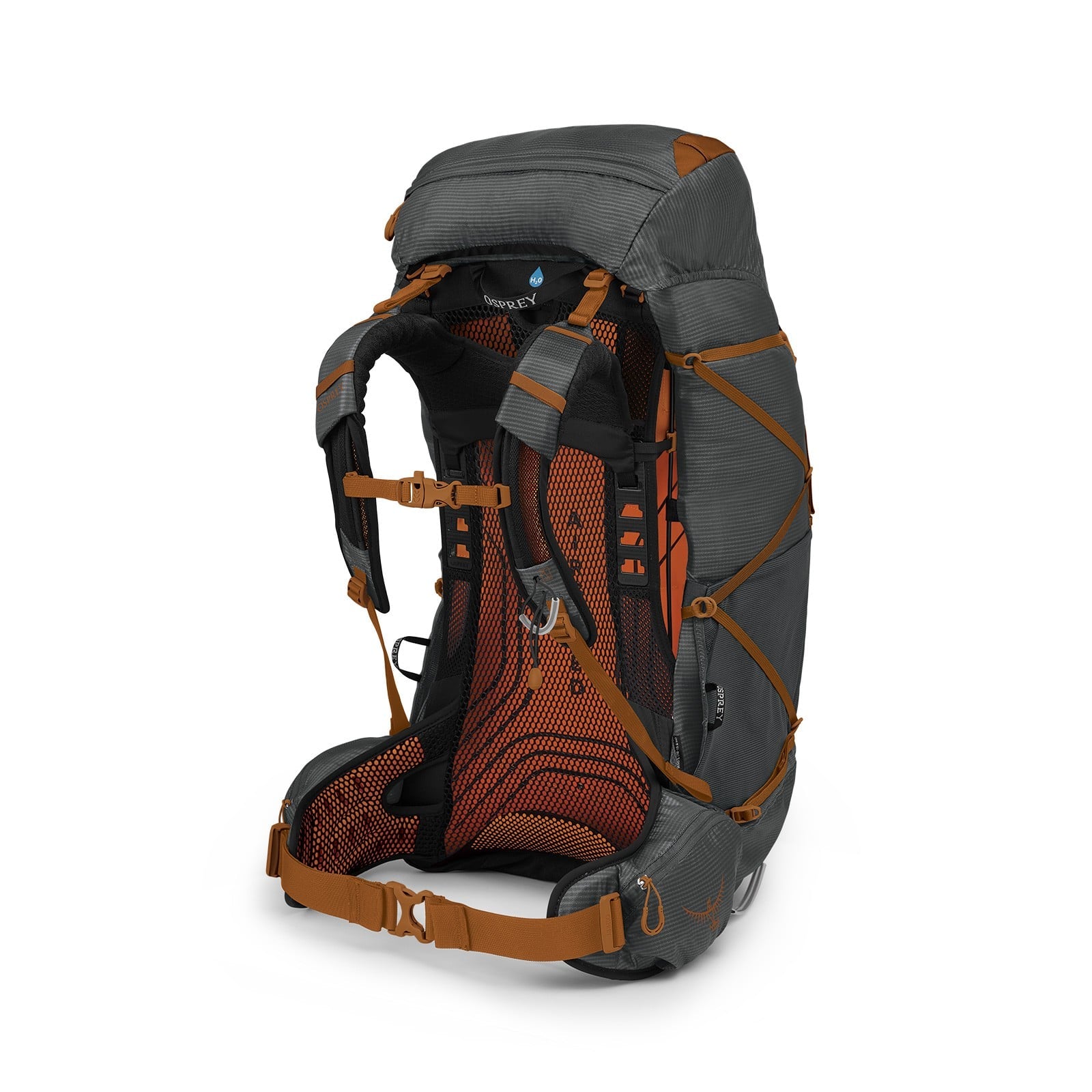 Osprey Exos 58 Backpacking Pack 58L in Dark Charcoal Grey — back view