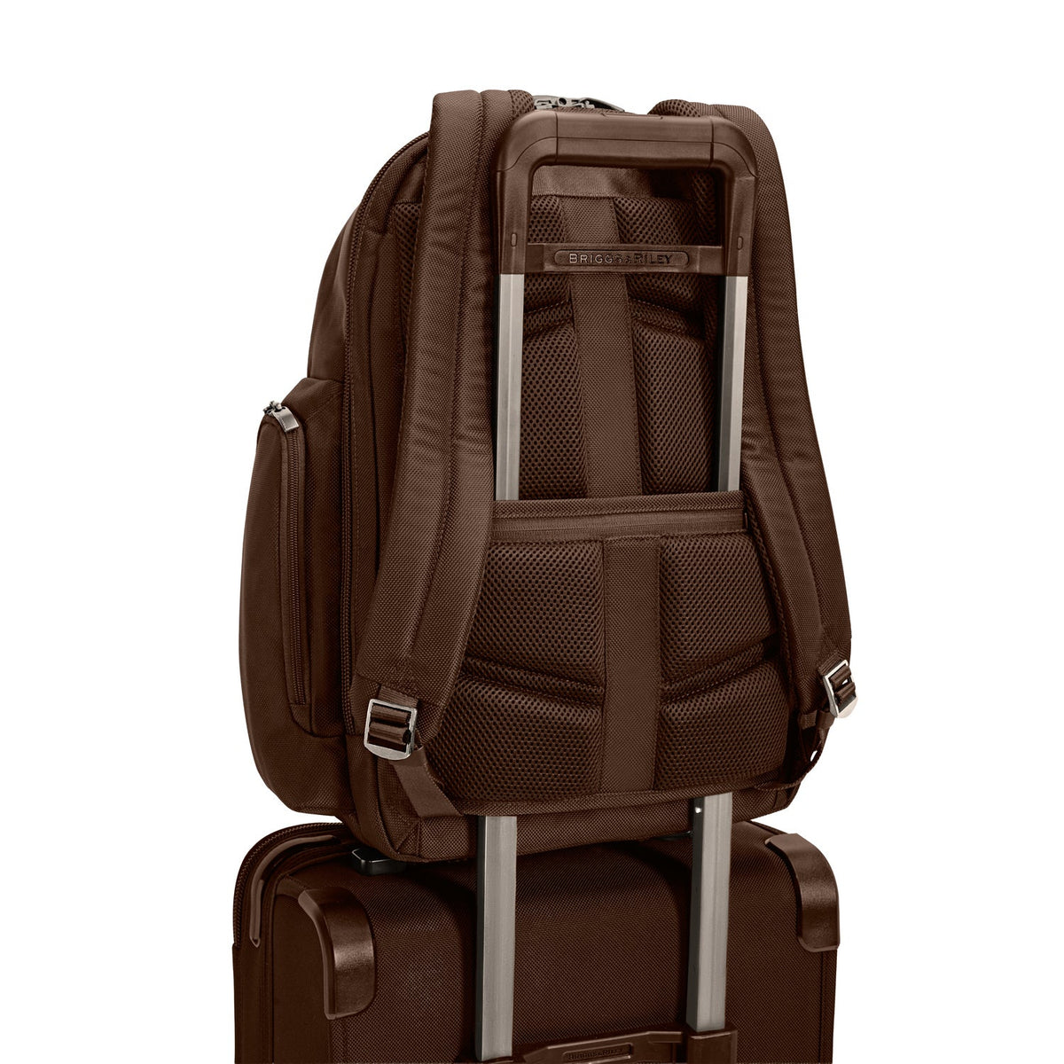 Briggs & Riley @work Large Cargo Backpack in Chocolate — back view