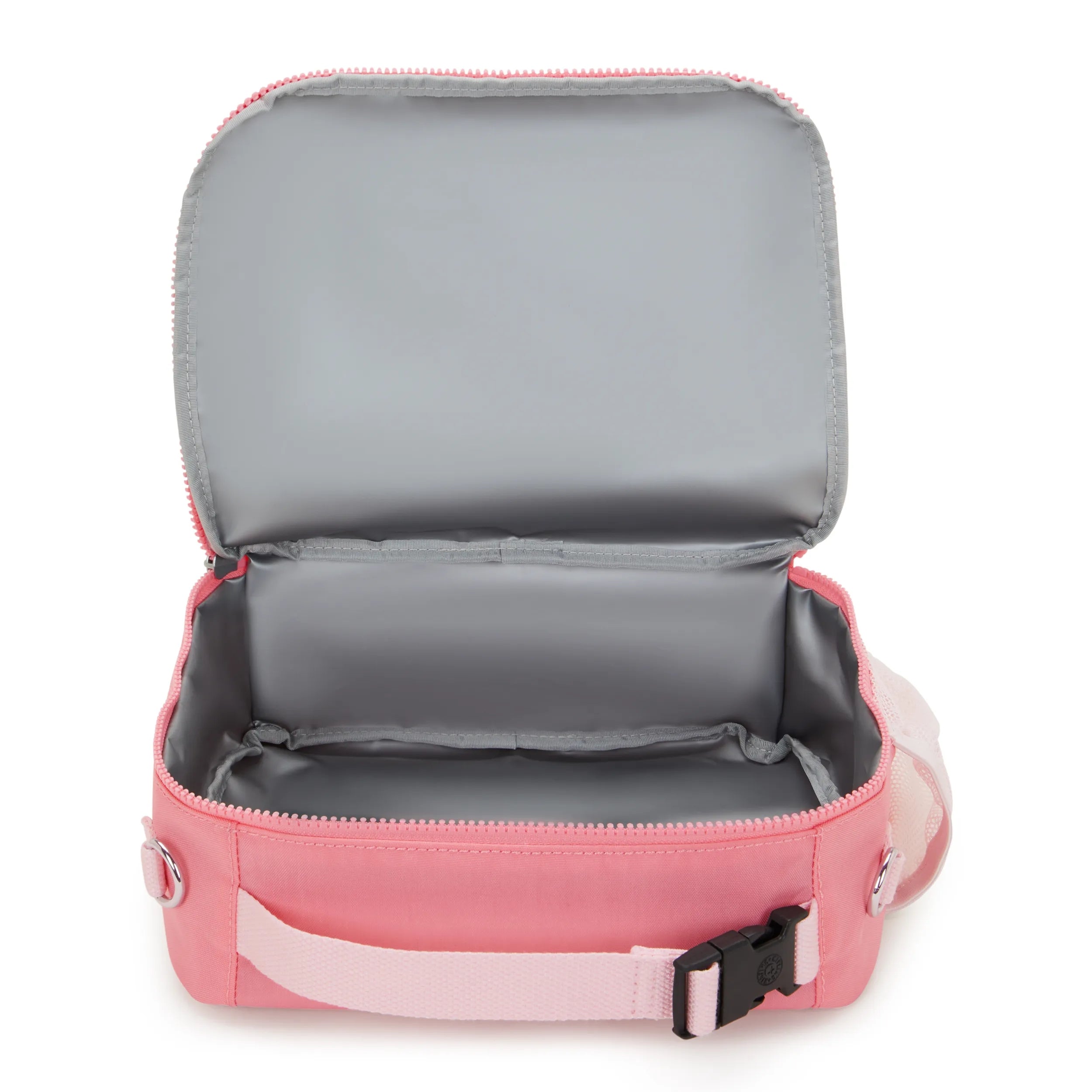 Kipling Ermy in Coral Sea — angle view 2