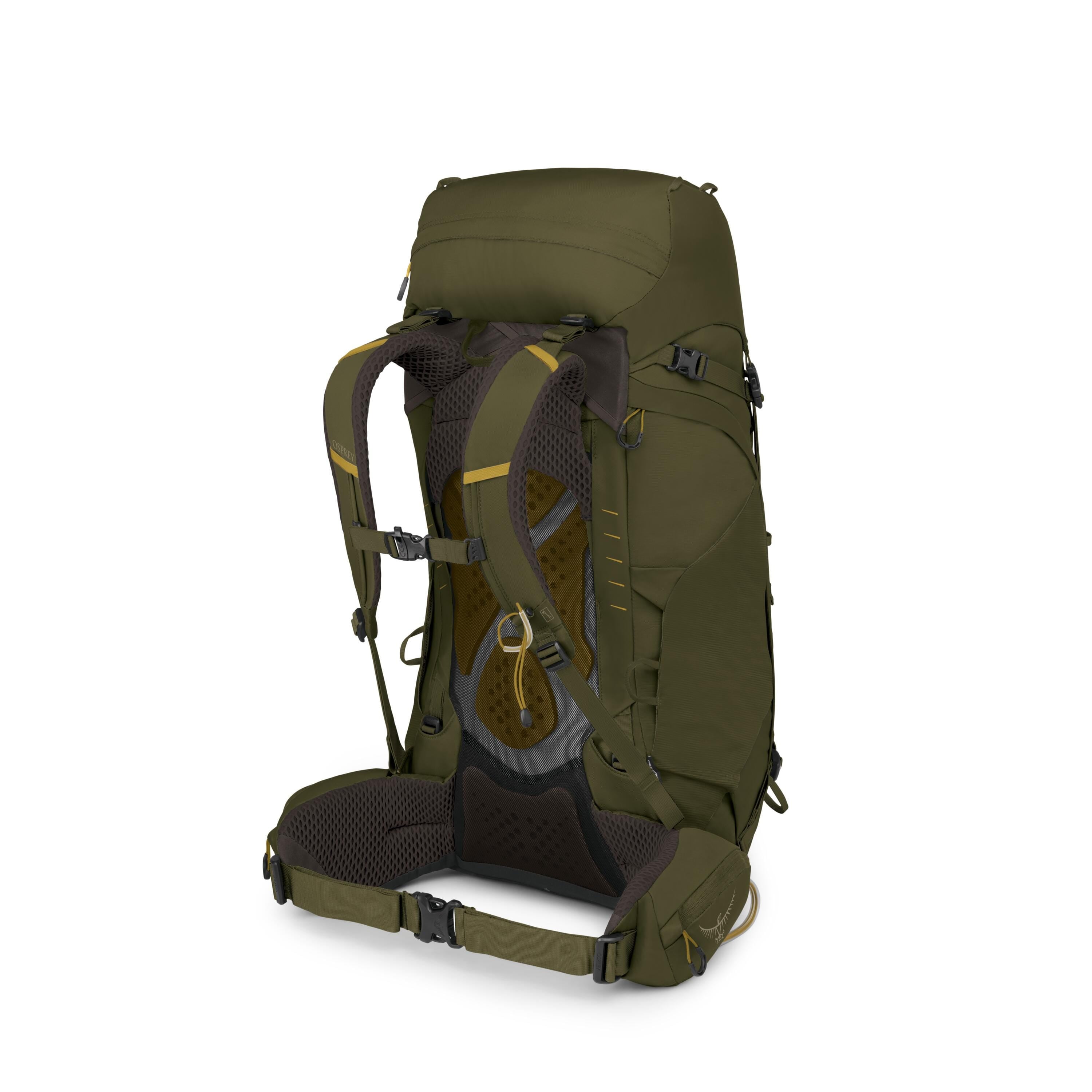 Osprey Kestrel 48 Backpacking Pack 48L in Moss Green — angle view 3