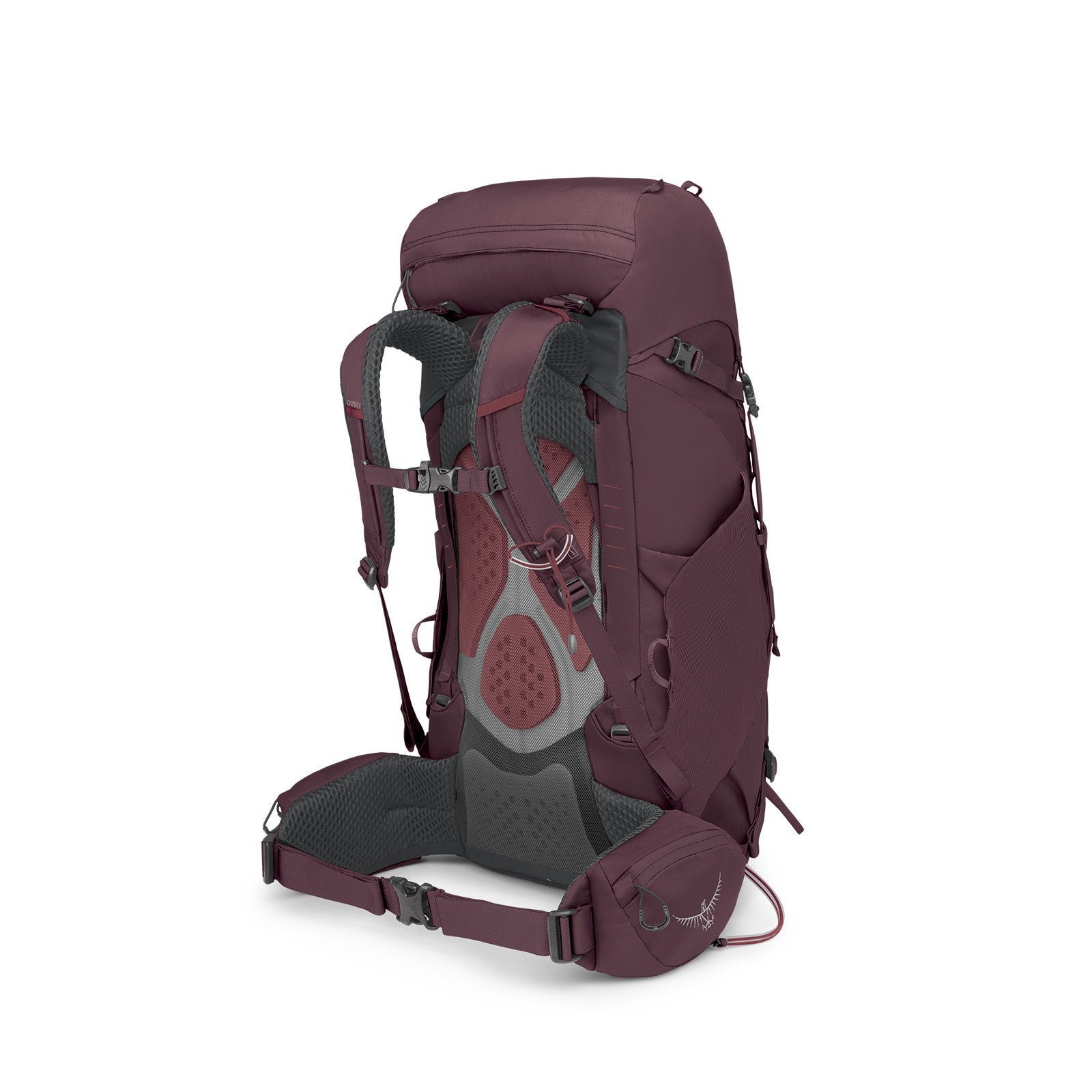 Osprey Kyte 38 Women's Backpacking Pack 38L in Elderberry Purple — angle view 4