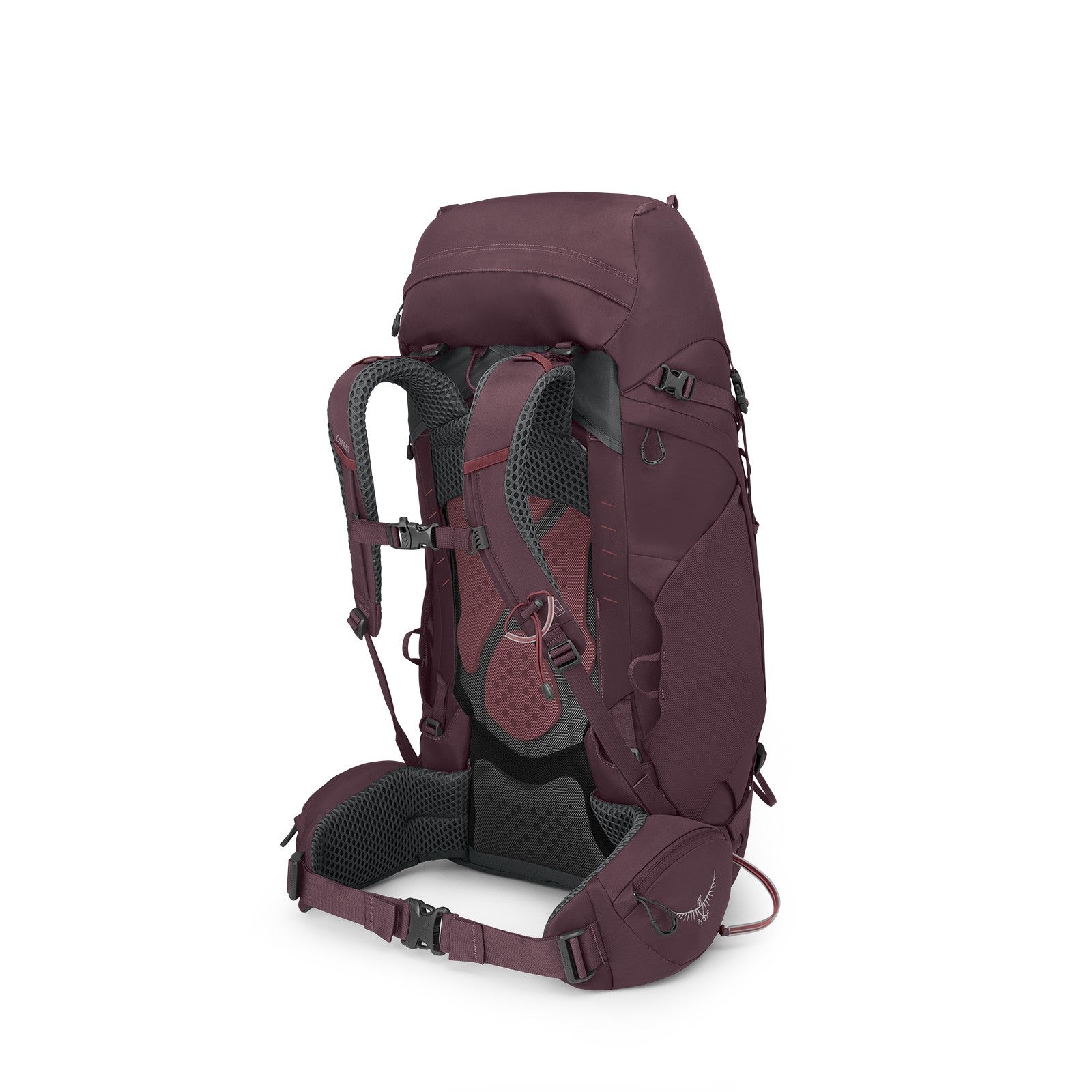 Osprey Kyte 48 Women's Backpacking Pack 48L in Elderberry Purple — angle view 4