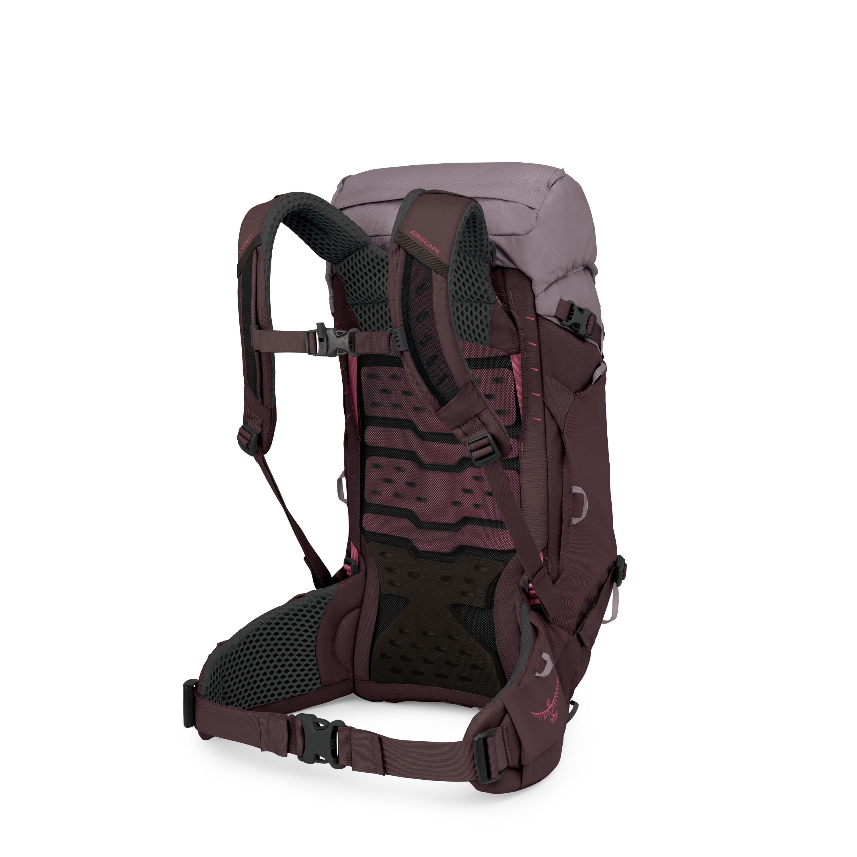 Osprey Kyte LT 28 Women's Hiking Backpack 28L in Graphite Purple — angle view 3