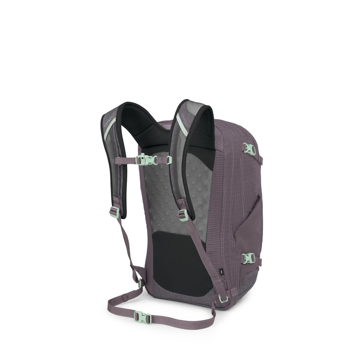 Osprey Nebula Backpack 32L in Graphite-Purple Heather — back view