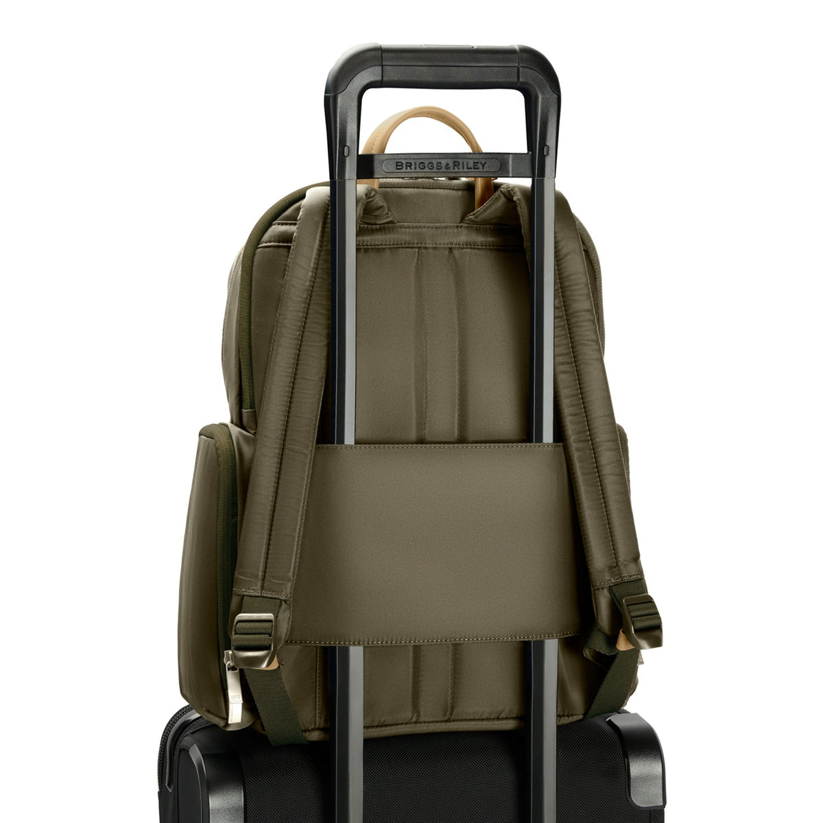 Briggs & Riley Rhapsody Medium Backpack in Olive — back view