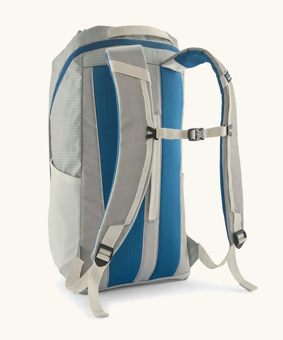 Patagonia Black Hole Pack 25L in Birch White — back view