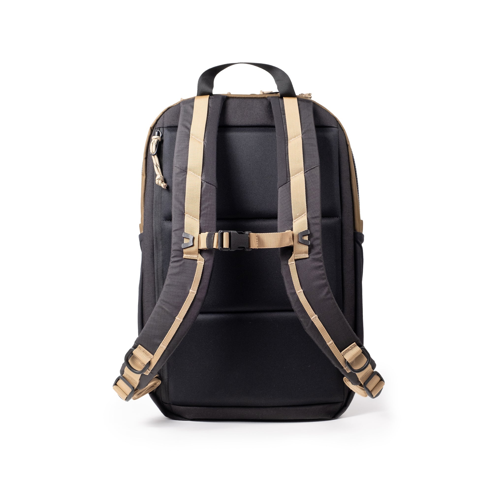 Topo Designs Commuter Backpack in Desert Palm Elmwood — back view # color_Desert Palm Elmwood