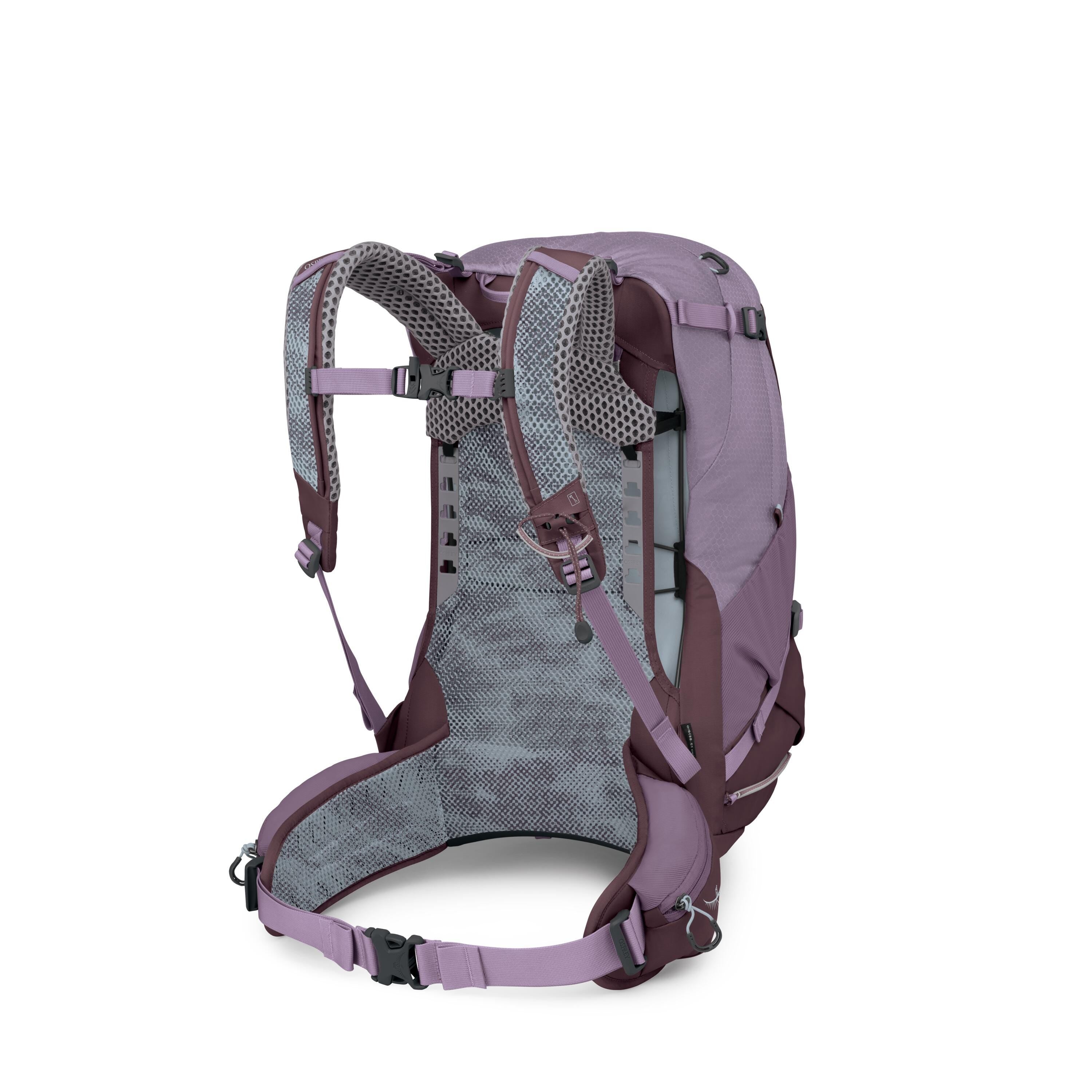 Osprey Sirrus 34 Hiking Backpack 34L in Purple Dusk — back view
