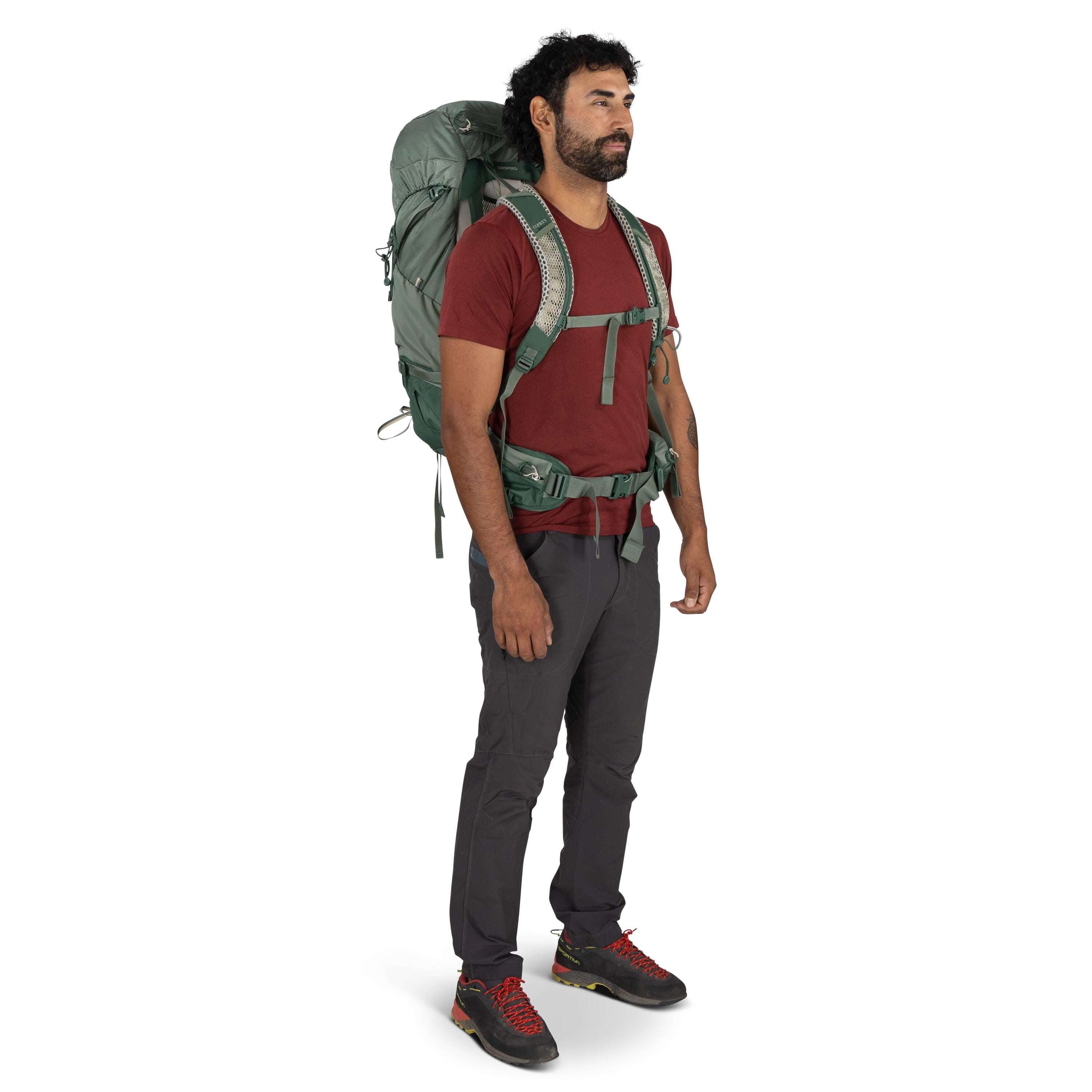 Osprey Stratos 44 Hiking Backpack 44L in Pine Leaf Green — lifestyle