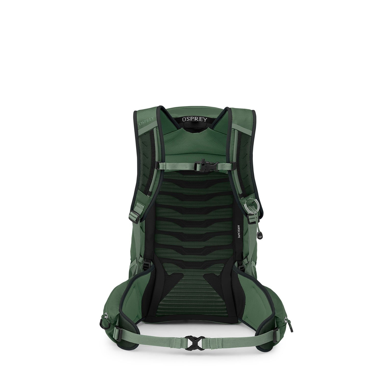 Osprey Talon 22 Hiking Backpack 22L in Green Canopy/Pine Leaf — back view