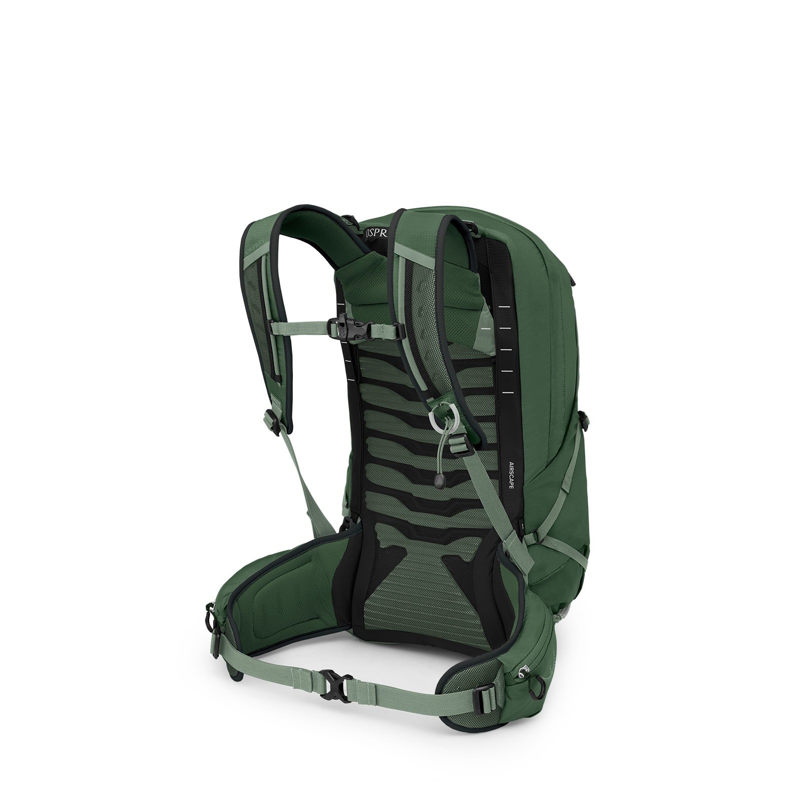 Osprey Talon 22 Hiking Backpack 22L in Green Canopy/Pine Leaf — angle view 3