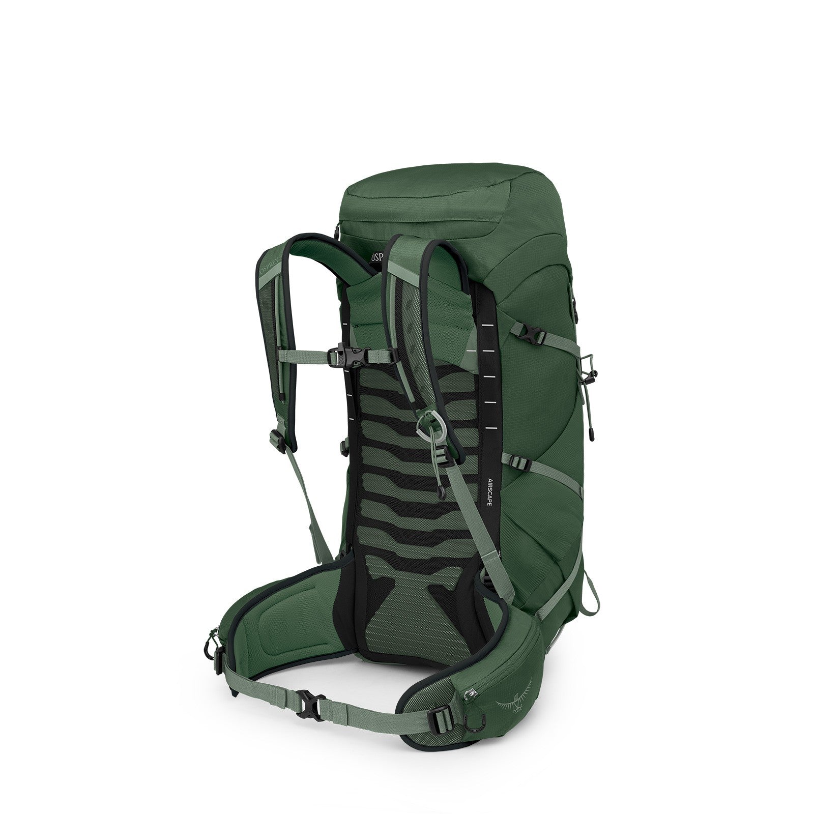 Osprey Talon 33 Hiking Backpack 33L in Green Canopy/Pine Leaf — angle view 3