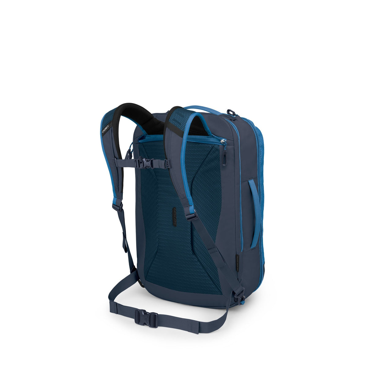 Osprey Transporter Travel Pack 44L in Blue Flame / Nocturnal Blue — back view