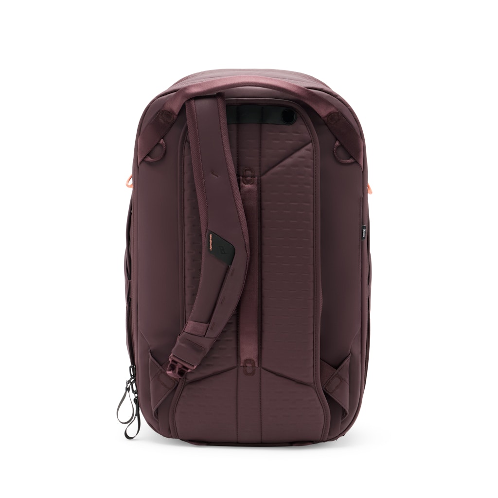 Peak Design Travel Backpack 30L in Eclipse — back view